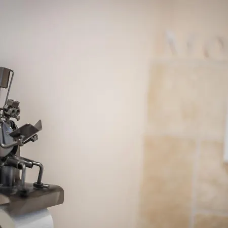 Austernfischer App 23