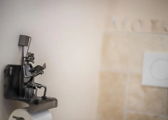 Austernfischer App 23