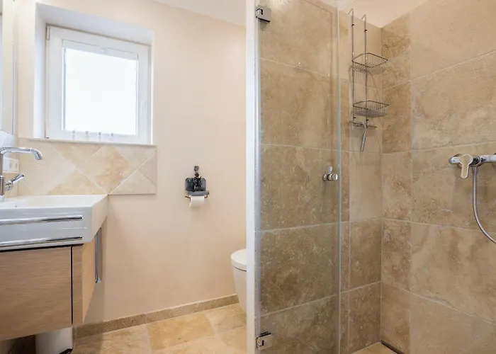 Austernfischer App 23 *